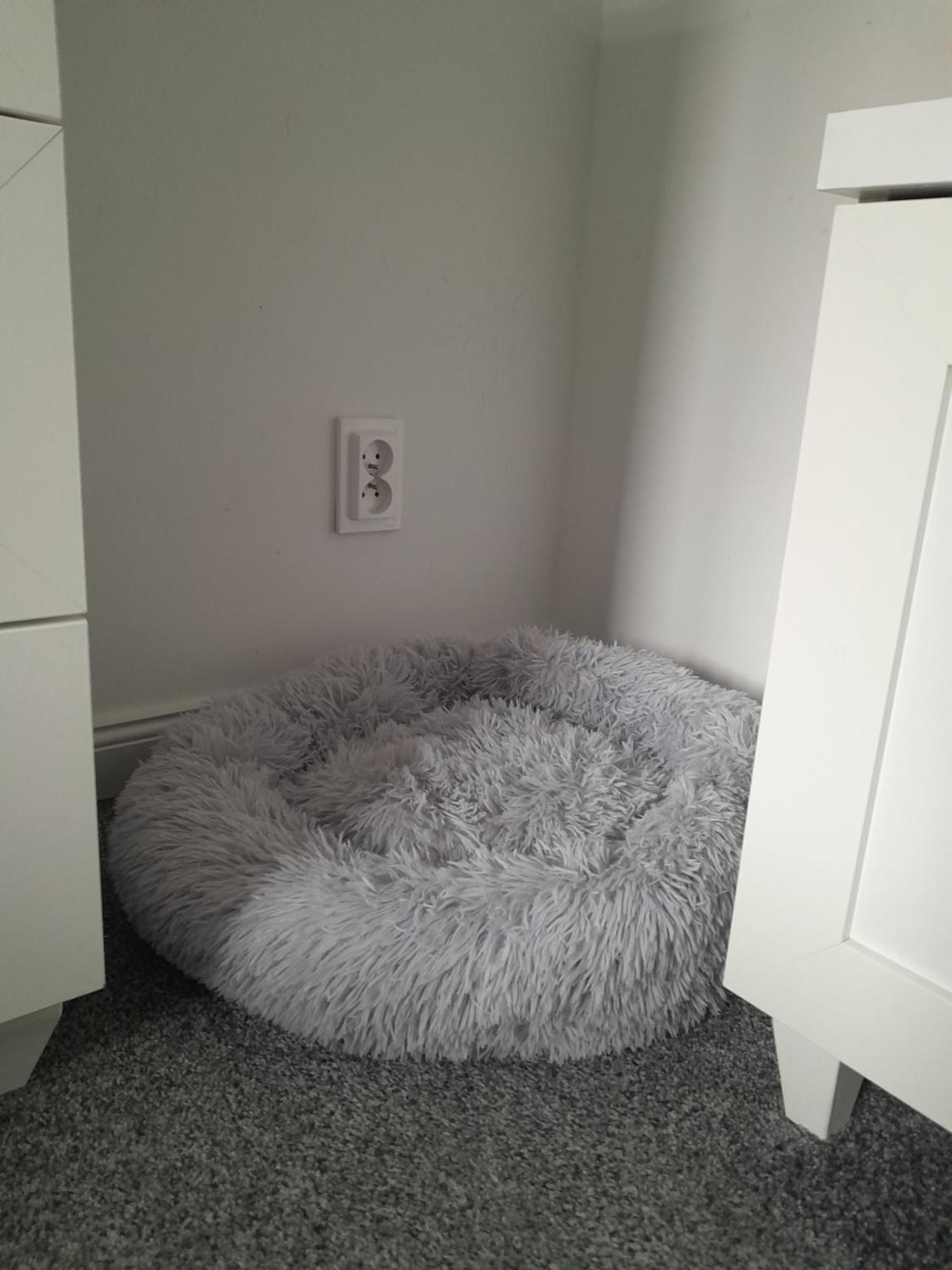 Apartament "Konie I Anioly" Boguszów-Gorce Eksteriør billede